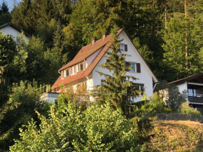 Ferienhaus Kroneck